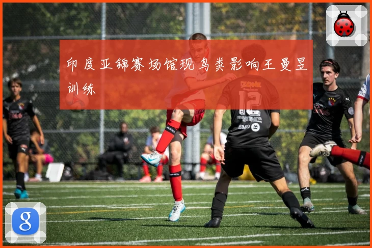 印度亚锦赛场馆现鸟粪影响王曼昱训练