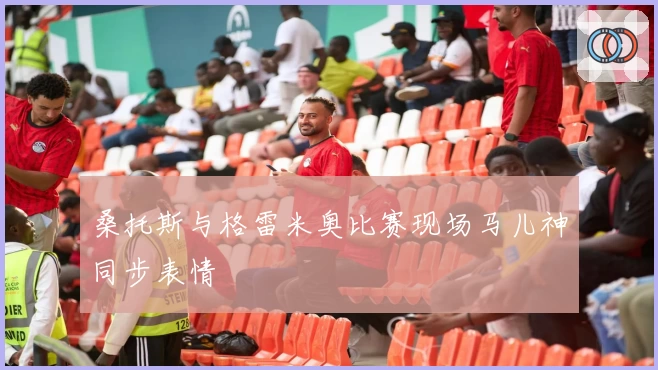 桑托斯与格雷米奥比赛现场马儿神同步表情